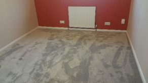 carpets to a bedroom 