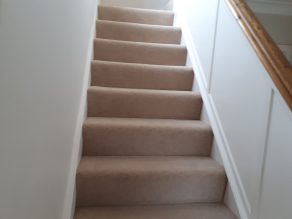 Natural 80 20 twist pile carpet stairs