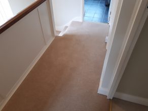 Natural 80 20 twist pile carpet landing